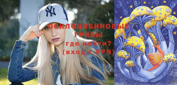 скорость Бородино