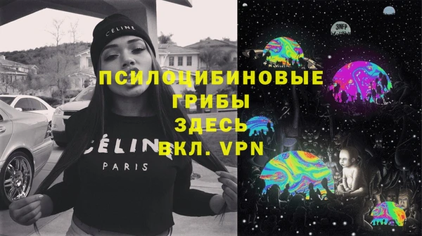 гашик Бронницы