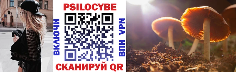 omg маркетплейс  Дзержинский  Псилоцибиновые грибы прущие грибы 